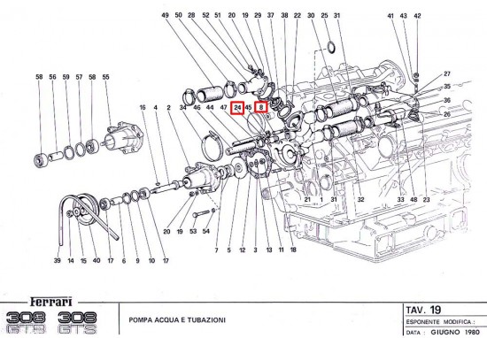TAV19